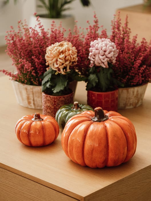 Calabaza decorativa naranja grande Dijk