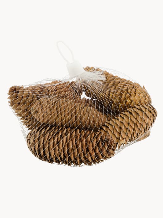 Piñas decorativas naturales en bolsa 150 g
