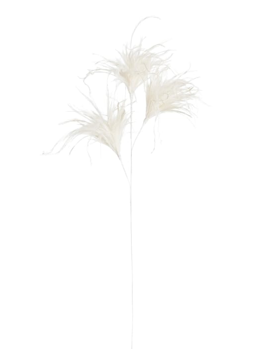 Rama plumero blanco roto decorativa 75 cm