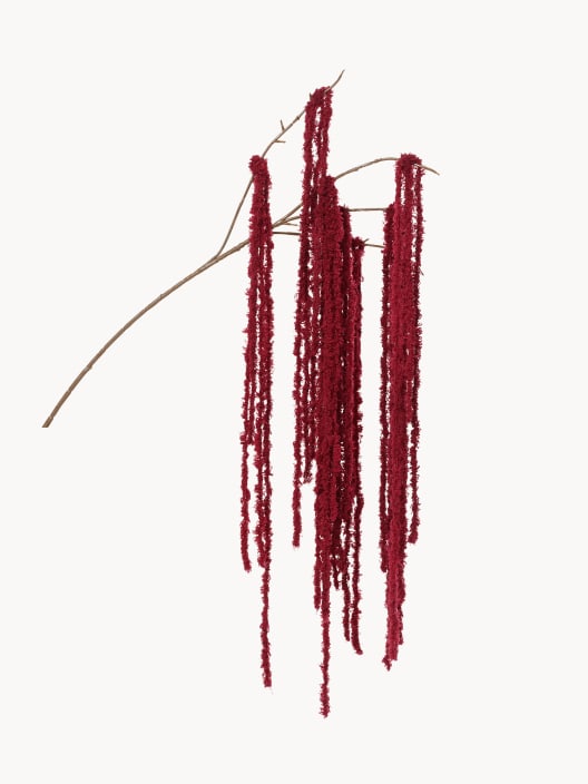 Rama Amaranthus burdeos decorativa 80 cm