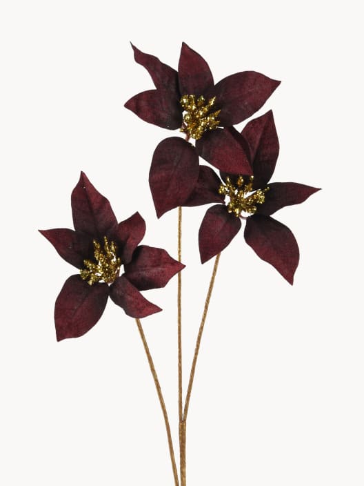 Rama de Flor de Pascua marrón decorativa 60 cm