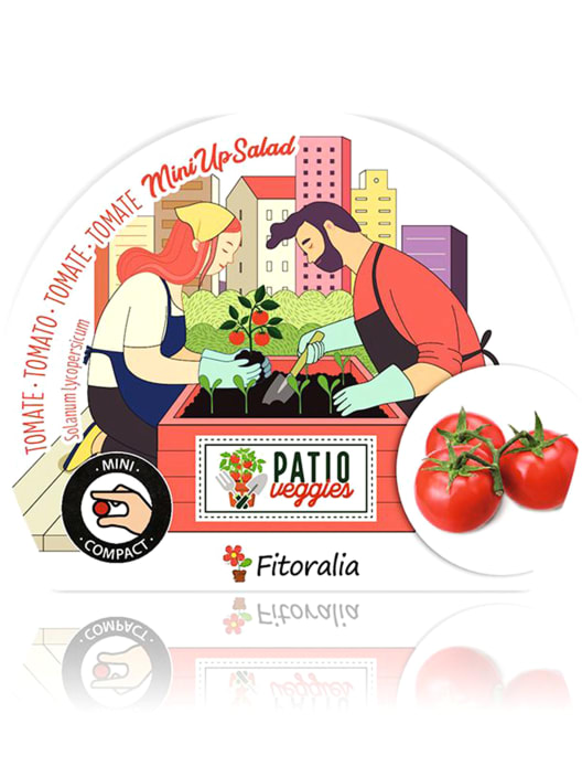 Tomate MiniUpSalad - Planta de huerto