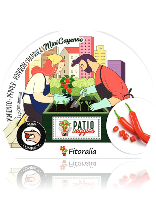 Pimiento picante MiniCayenne - Planta de huerto