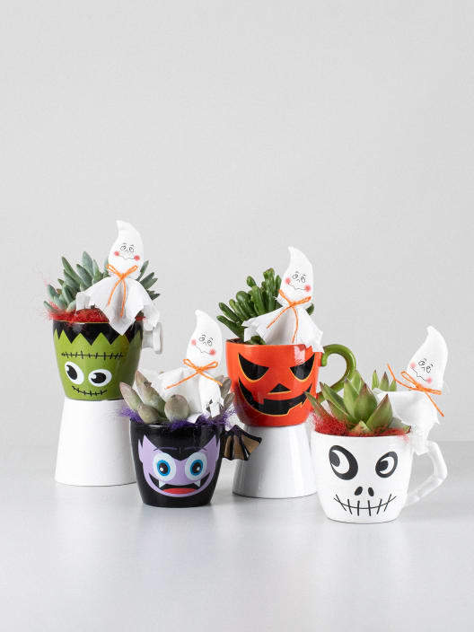 Taza decorativa con Echeveria - Especial Halloween