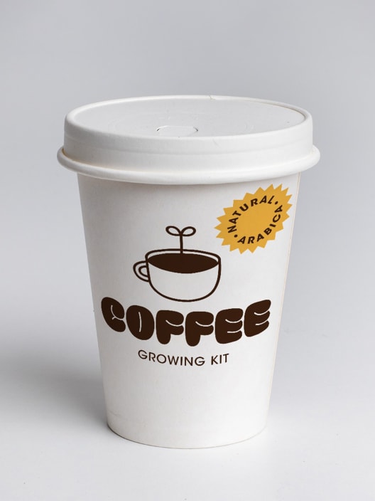 Kit de cultivo 'Café arábica'