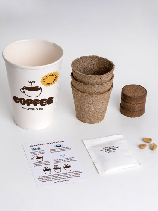 Kit de cultivo 'Café arábica'
