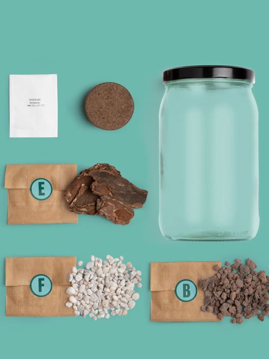 Kit de cultivo 'Terrarium'