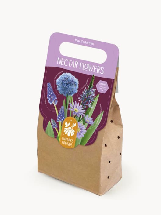 Bolsa 40 bulbos Nectar Flowers azul