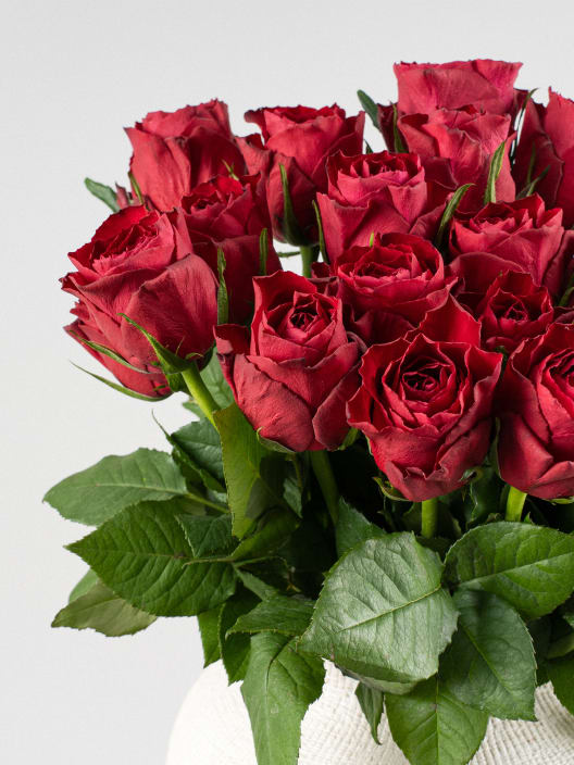 Ramillete de Mini Rosas Rojas