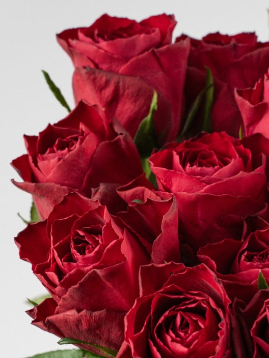 Ramillete de Mini Rosas Rojas