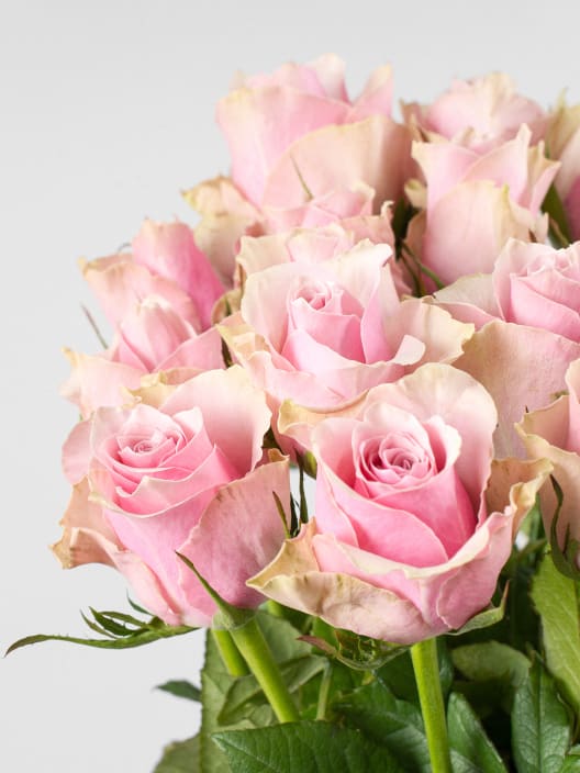 Ramillete de Mini Rosas Rosas