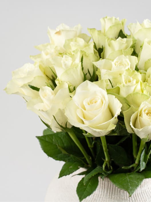 Ramillete de Mini Rosas Blancas