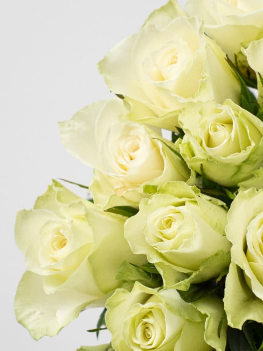 Ramillete de Mini Rosas Blancas