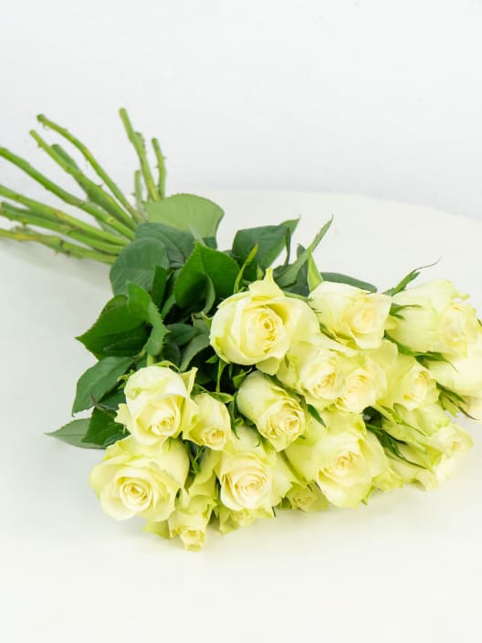 Ramillete de Mini Rosas Blancas