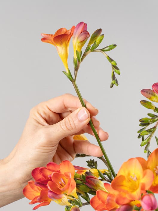 Ramillete de Fresias Rojas