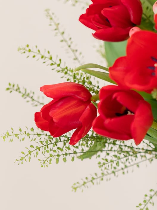 Ramo San Valentín 20 tulipanes rojos