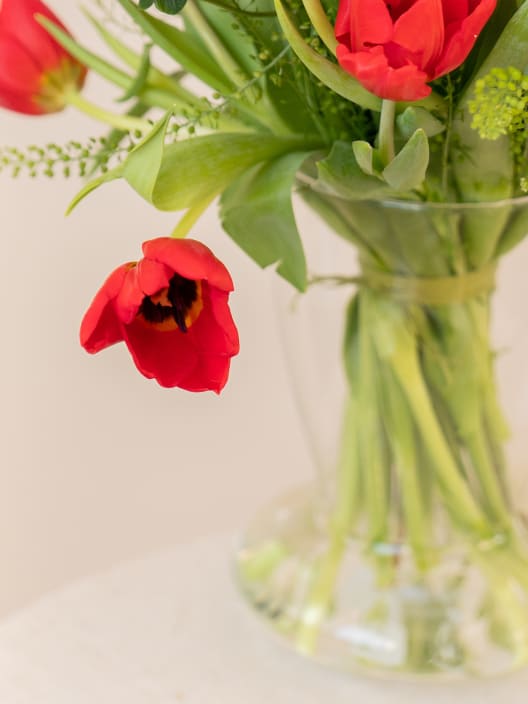 Ramo San Valentín 20 tulipanes rojos