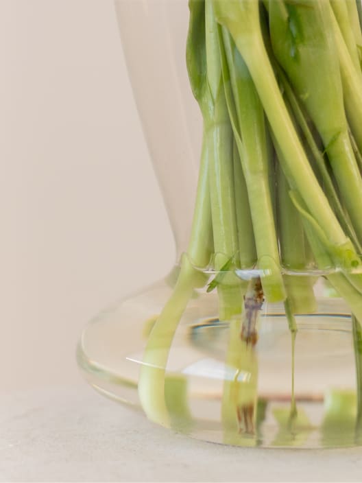 Ramo San Valentín 20 tulipanes rojos