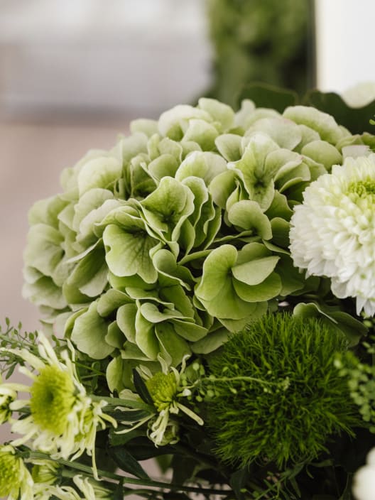 Ramo de Flores naturales Hortensia