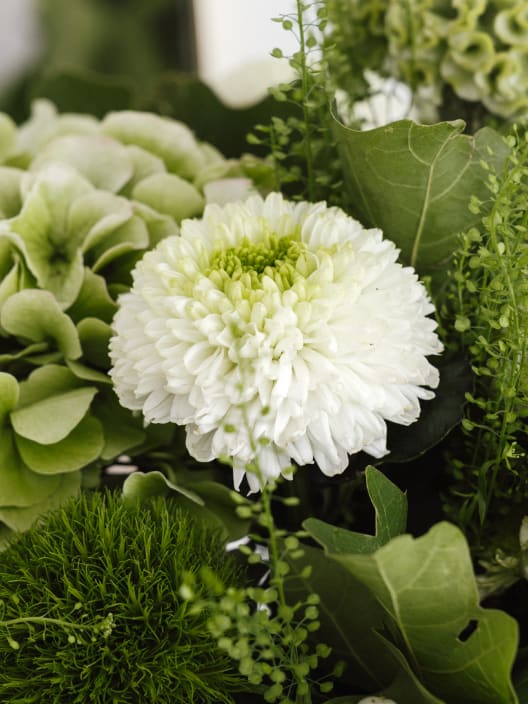 Ramo de Flores naturales Hortensia