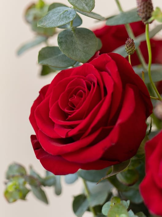 Ramo San Valentín 9 rosas rojas