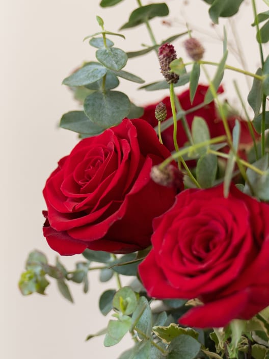 Ramo San Valentín 9 rosas rojas