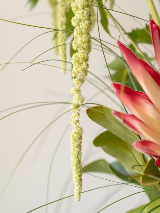 Ramo Protea Grande