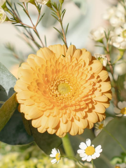 Ramo de Flores naturales Vuelve al Verde 2