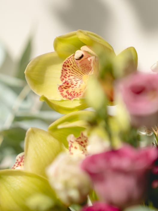 Ramo de Flores naturales Vuelve al Verde 3