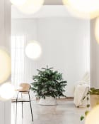 Guía de cuidados del Abeto de Navidad natural