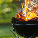 Barbacoas de leña y carbón