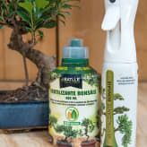 Abonos y sustratos para bonsáis