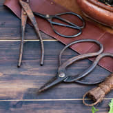 Herramientas para bonsáis