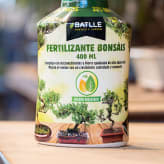 Tratamientos del bonsái