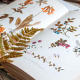 Libros sobre plantas