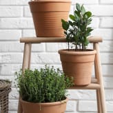 Macetas de barro y cerámica