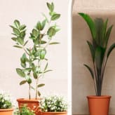 Macetas y jardineras Artevasi