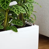 Macetas y jardineras Lechuza