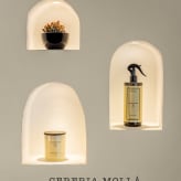 Aromas Cereria Mollá