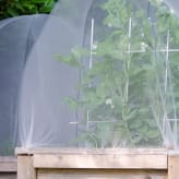 Protección contra las heladas