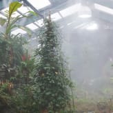 Nebulizadores de riego