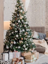 Navidad