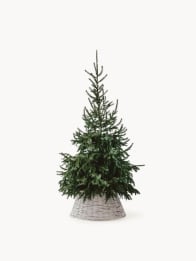 Árboles de Navidad