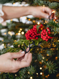 Luces para el Árbol