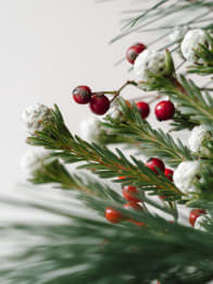 Plantas y Flores Navideñas
