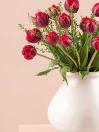 Ramos de flores de la tierra