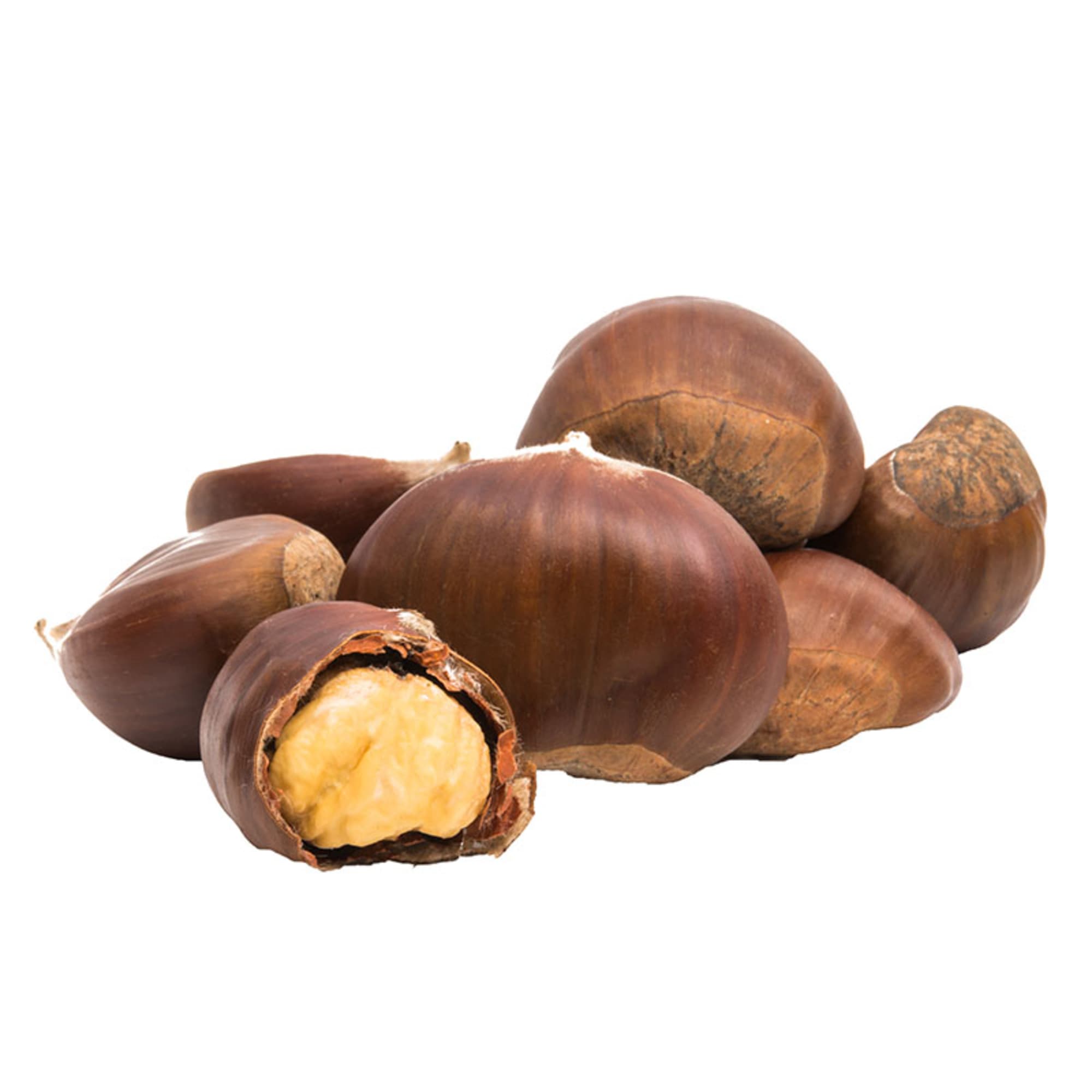 Castaño (Castanea Sativa) | Fronda