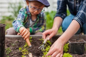 Taller de jardinería