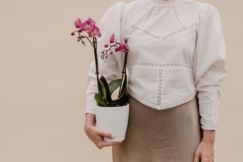 Masterclass de Orquídeas