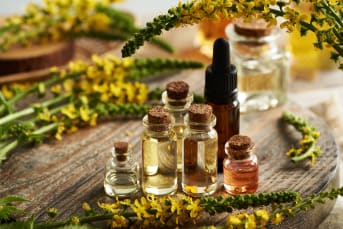 Taller de perfumes y esencias a base de plantas y flores